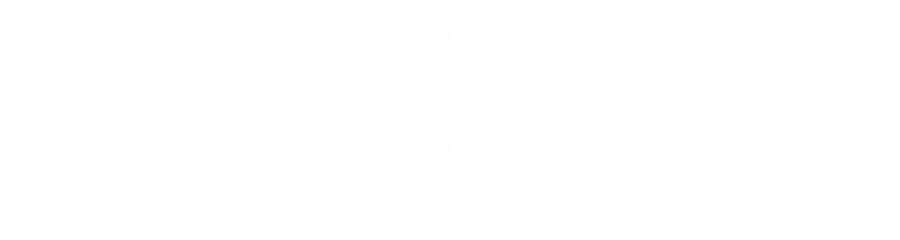 Evectio Consulting Partners